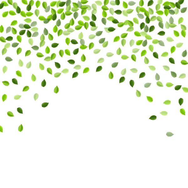 Lime Greens Tree Vector Illustration. Realistické — Stockový vektor