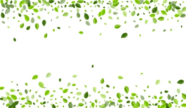 Mint Foliage Organic Vector Branch. Réaliste — Image vectorielle