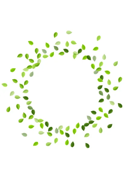 Grassy Greens Blur Vector Plant. Feuillage à base de plantes — Image vectorielle