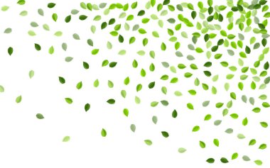 Zeytin Yeşilleri Şeffaf Vektör Arkaplanı. 