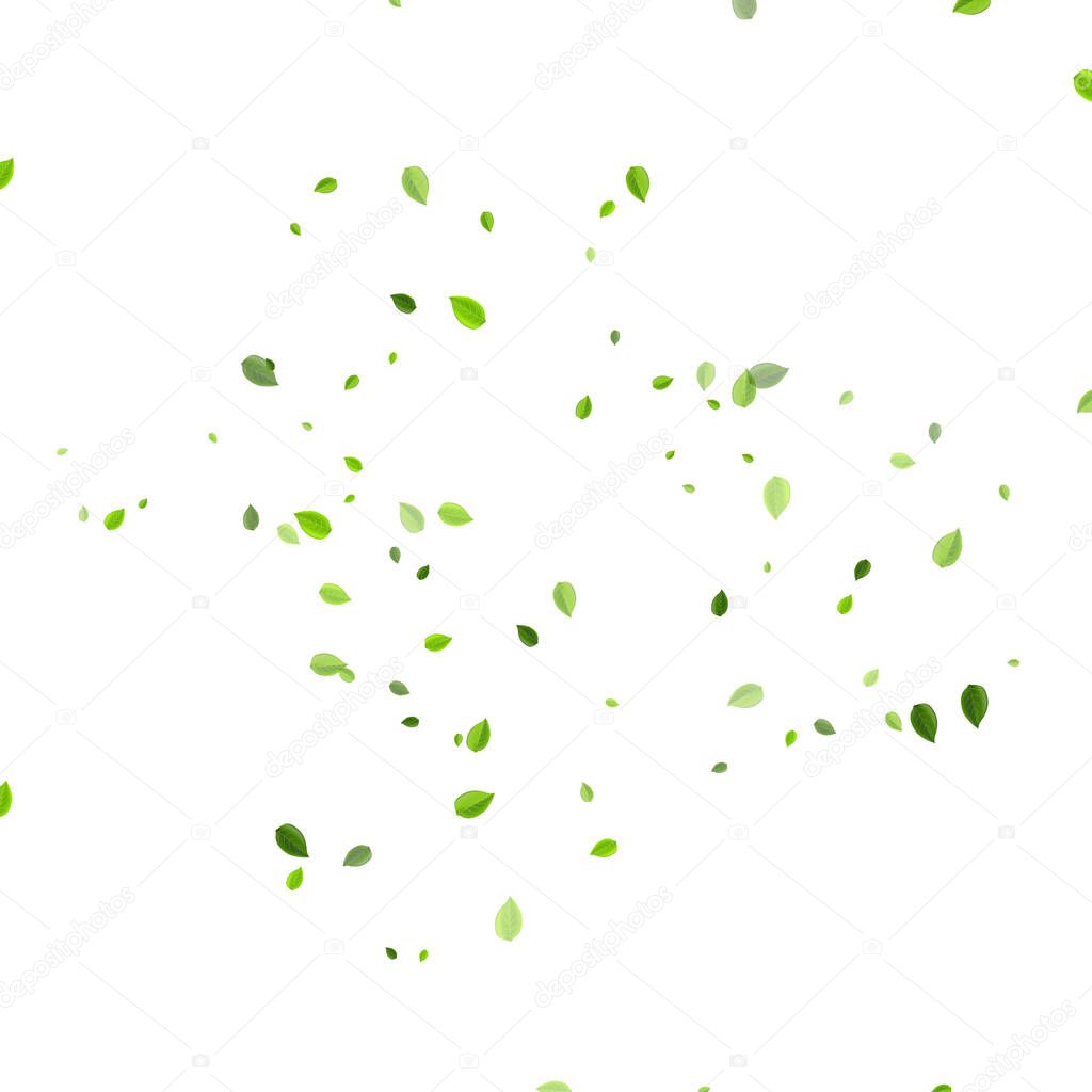 Mint Greens Blur Vector Border. Realistic Foliage 