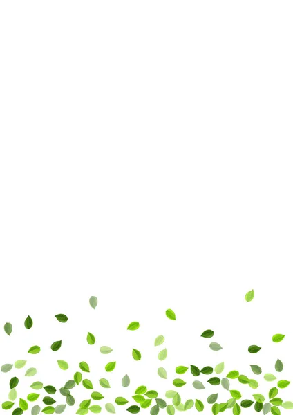 Lime Leaf Wind Vector Fondo de pantalla. Verdes borrosos — Vector de stock