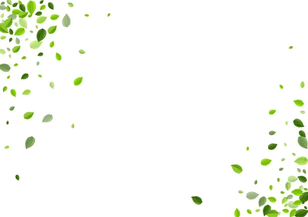 Green Leaves Spring Vector Backdrop. Rozmazat list — Stockový vektor