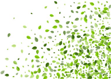 Grassy Yeşillik Taze Vektör Sınırı. Rüzgar Yaprakları 