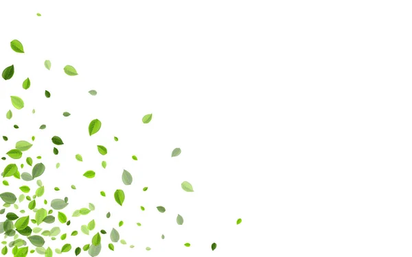 Feuille de menthe tourbillon vecteur papier peint. Les verts abstraits — Image vectorielle