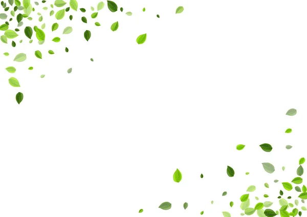 Grassy Leaf Blur Vector 백그라운드. 날으는 나뭇잎 — 스톡 벡터