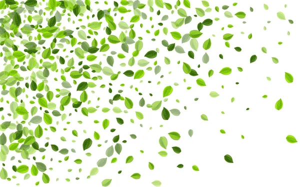 Lime Leaf Abstract Vector Plant. Verdes voadores — Vetor de Stock