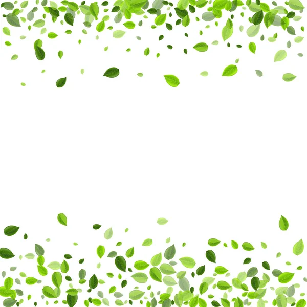 Zöld levelek szélvektor tapéta. Természeti zöldek — Stock Vector