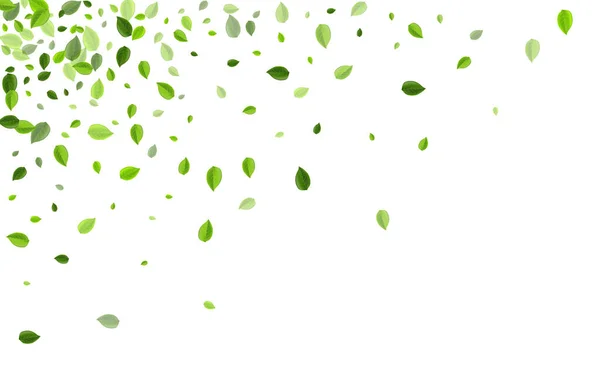 Zeytin yaprağı hareket vektörü kavramı. Bulanık Yeşiller — Stok Vektör