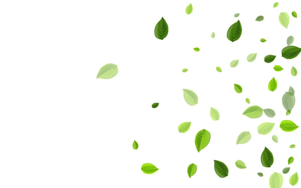 Lime Leaf Transparent Vector Wallpaper. 사기 — 스톡 벡터