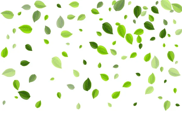 Forest Green Swirl Vector Illustration (em inglês). Moção — Vetor de Stock