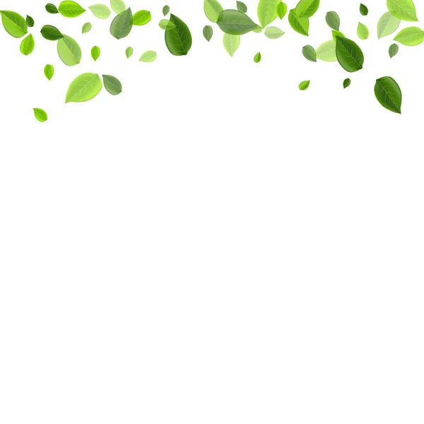 Grassy Green Spring Vector Concept (em inglês). Abstrato — Vetor de Stock