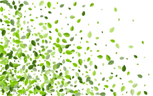 Kireç yaprağı ekoloji vektör santrali. Bulanık Yaprak 