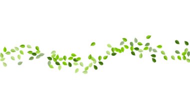 Kireç Yaprak Hareketi Vektör Şablonu. Uçan Yaprak 