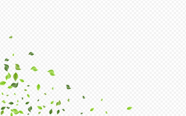 Groen groen Waas Vector Transparante achtergrond — Stockvector