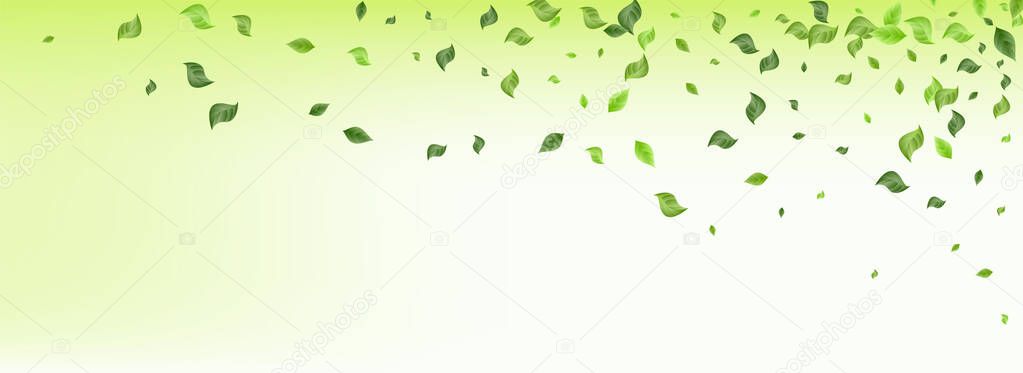 Grassy Leaves Nature Vector Panoramic Green 