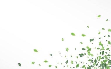 Orman Yeşillik Ormanı Vektörü Beyaz Arkaplan 