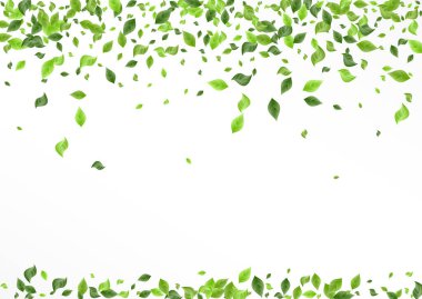 Yeşil Yeşiller Hareketi Beyaz ve Gri Arkaplan 