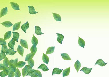 Grassy Yeşillik Gerçekçi Vektör Yeşil Arkaplan 