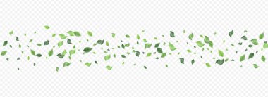 Orman Bitkisel Vektör Panoramik Bırakıyor 