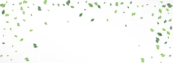 スイムリーフツリーベクトルパノラマホワイトの背景 — ストックベクタ