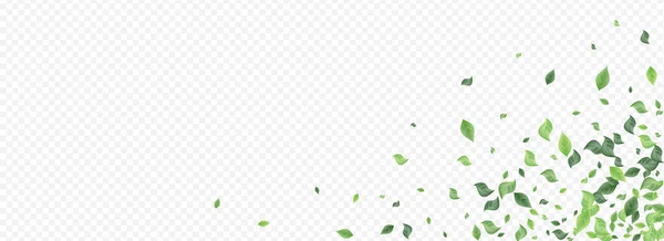 ミントの葉フライベクトルパノラマ透明 — ストックベクタ