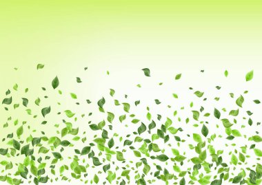 Orman Yeşilliği Taze Yeşil Arkaplan Kavramı. 