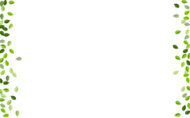 Zeytin Yeşilleri Doğa Vektör Sınırı. Uçan Yapraklar 