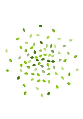 Bataklık Yaprağı Soyut Vektör Posteri. Ekoloji 