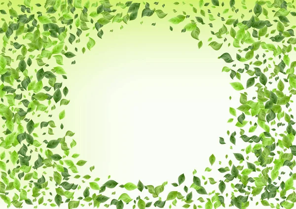 Moeras groen vervagen groene achtergrond banner. — Stockfoto
