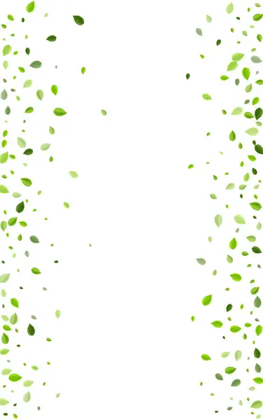 Kalk Groenen Herbal Vector Poster. Vers loof — Stockvector