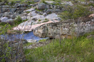 Yılan kafası gibi bir kaya