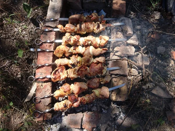 Carne Porco Frita Fogo Chama Prato Carne Shish Este Prato — Fotografia de Stock