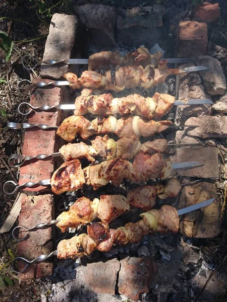 Pork Meat Fried Fire Called Shish Kebab Very Tasty Dish — Stock Photo, Image