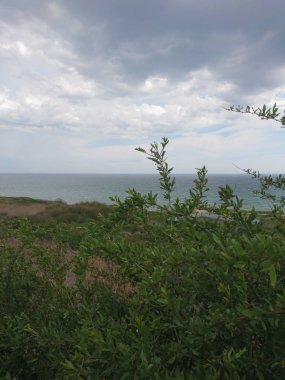 Güzel parlak mavi deniz manzarası: gökyüzü, bulutlar, su, dalgalar, kum, rüzgar. Harika tatil ve seyahat 