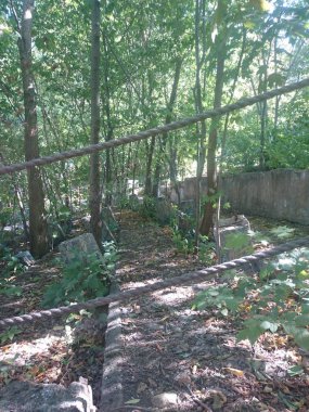 Yaz aylarında eski güzel park