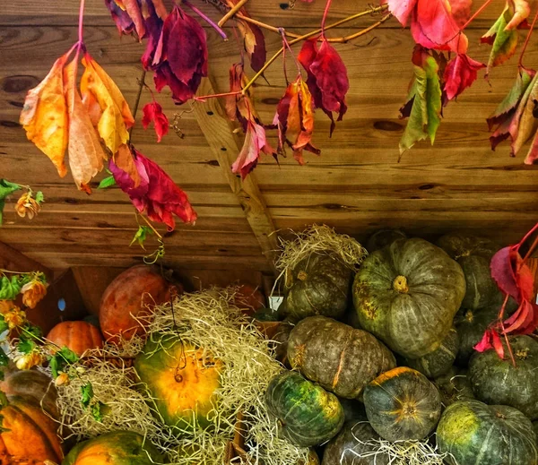 Halloween Pompoenen Een Oud Houten Oppervlak Tussen Rode Gele Bladeren — Stockfoto
