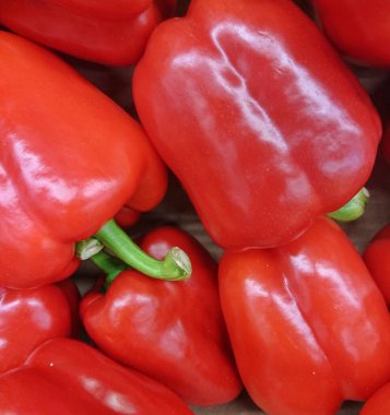 Kutuda kocaman bir dolma biber