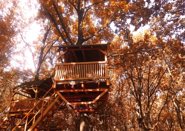 Treehouse Dans Parc Feuilles Brillantes Jaune Automne — Photo