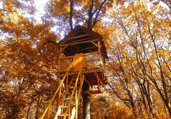 Дом Дереве Парке Осенние Жёлтые Листья — стоковое фото