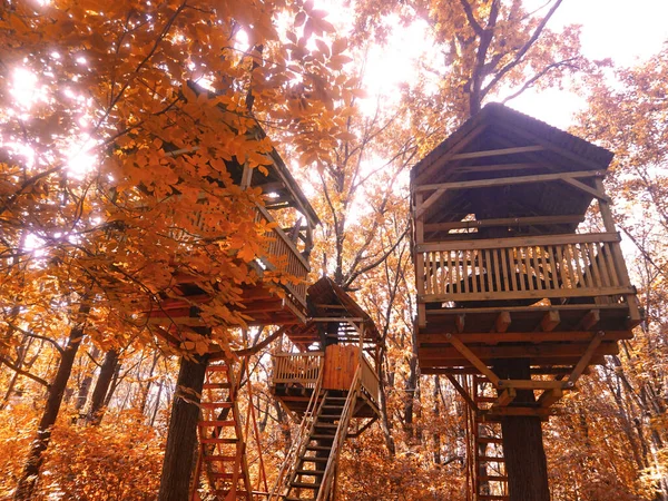 Casa Sull Albero Nel Parco Foglie Luminose Giallo Autunno — Foto Stock