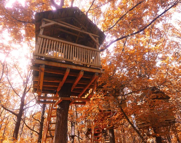 Casa Sull Albero Nel Parco Foglie Luminose Giallo Autunno — Foto Stock