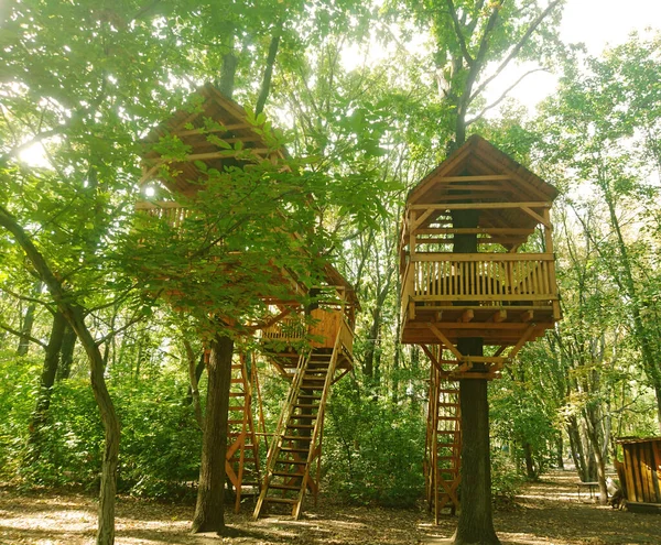 Casa Sull Albero Nel Parco Foglie Primavera Cielo Blu — Foto Stock