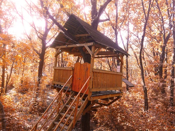 Stromový Dům Parku Podzimní Žluté Jasné Listy — Stock fotografie