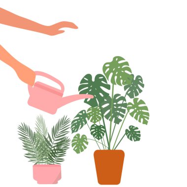 Çevre bakımı ve yeşil bitkiler kavramı. Doğa ve toprağı koruyan eller.