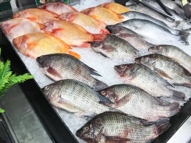 Süpermarkette buzda taze balık