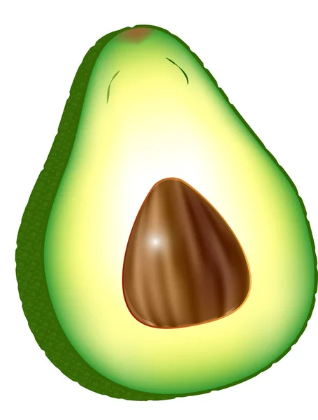Vektör gerçekçi taze meyve avokado beyaz arka plan izole. Çukurla birlikte avokadoyu yarıya indirin. Avokado simgesi. Beyaz arka planda izole edilmiş avokado vektör simgesinin düz illüstrasyonu