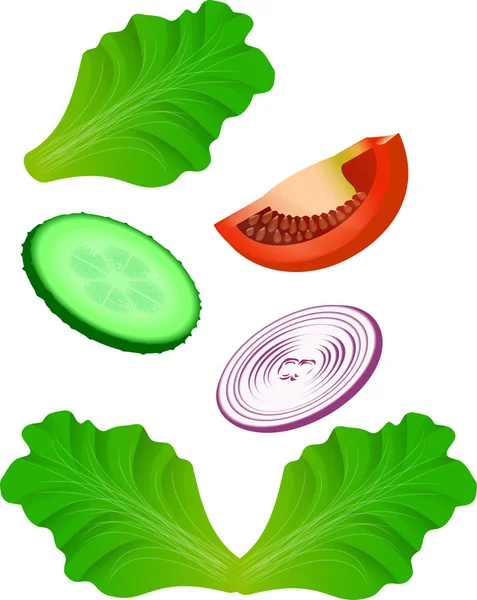 Salata sebze, vektör. Bir kasede salata. Ayrıntılı Vektör Simgesi. Yiyecek ve içecek ve yemek pişirmek için malzemeler serisi. Ayrıntılı Vektör Simgesi. Yiyecek ve içecek serisi ve yemek pişirmek için malzemeler.