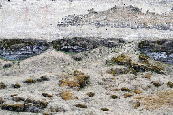 Antik kale duvarı geçen zemine bahar çimen ve yosun kaplı. Beyaz, gri, yeşil, kahverengi renkler içinde belgili tanımlık fotoğraf hakim.