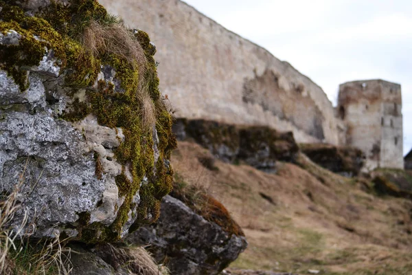 Izborsk bahar zaman içinde yosun ve zemin bir antik kale duvarı ve Kulesi karşı kuru ot ile antik taş kaplı. Renkleri yeşil, kahverengi, gri, mavi.